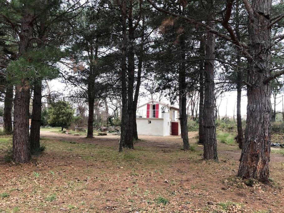 Le Cabanon De Vally Caromb Exteriér fotografie